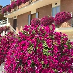 La Signora Dei Fiori